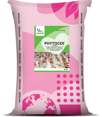 Phytocee Powder 25 kg